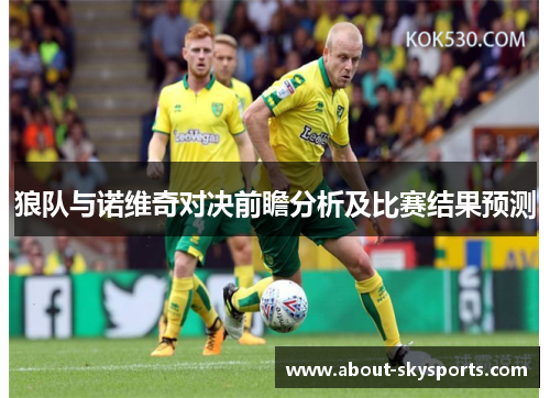 狼队与诺维奇对决前瞻分析及比赛结果预测